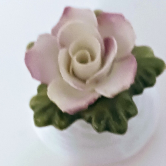 Aynsley Fine Bone China Salt and Pepper Set - Picture 4 of 4